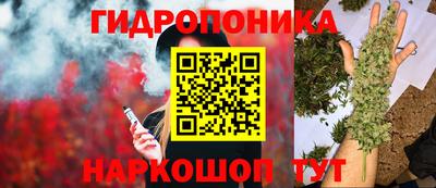 шишки Берёзовский