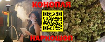 шишки Берёзовский