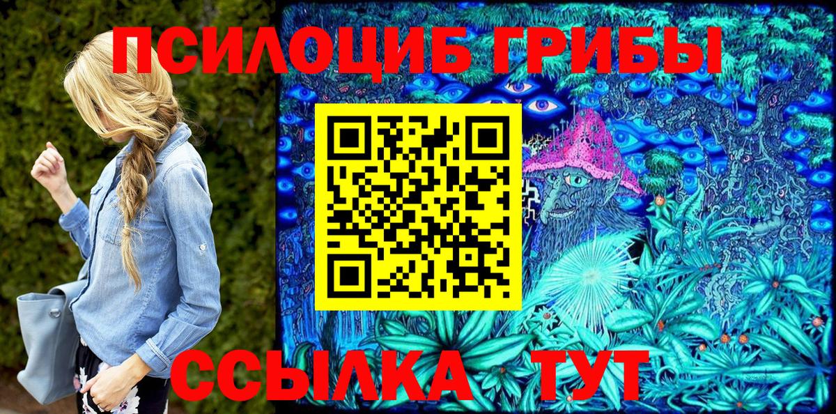 Каменка  Галлюциногенные грибы Psilocybe  Вход с VPN 