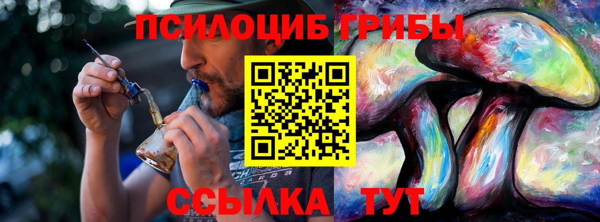 Галлюциногенные грибы GOLDEN TEACHER Каменка